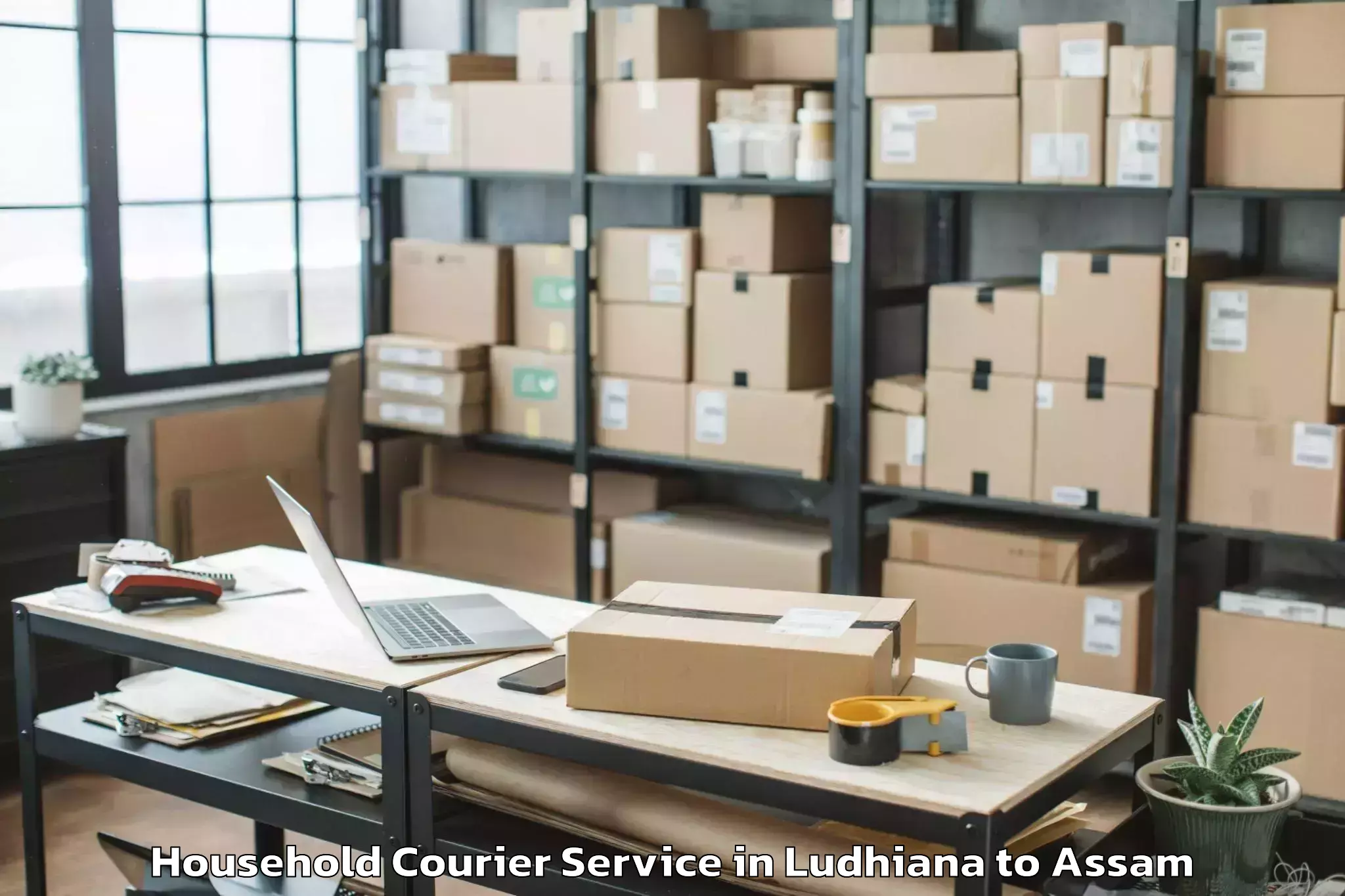 Reliable Ludhiana to Kaliabor Household Courier